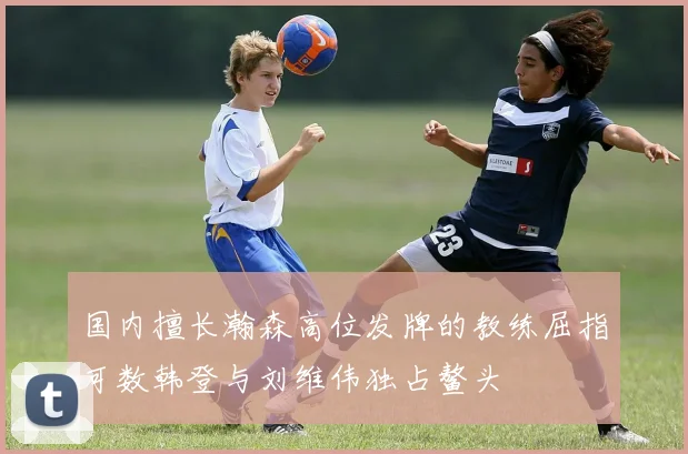 国内擅长瀚森高位发牌的教练屈指可数韩登与刘维伟独占鳌头